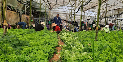 Campaign: Love agricultural trips
