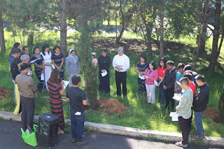 Planting trees responds to the call to care for the common home