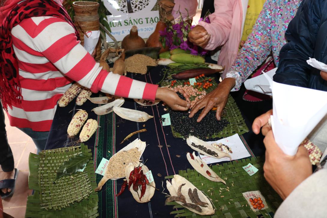 Giá Trị Của Hạt Giống
