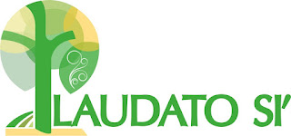 The Pope announces the seven-year program Laudato si