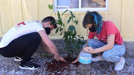 Laudato si' 40 Days of Prayer Campaign