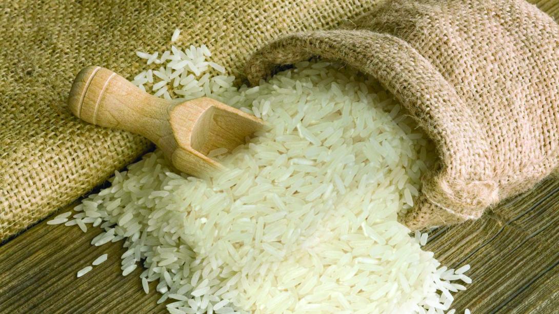 Chương Trình “ Hạt Gạo Tình Thương” Của Giáo Phận Đà Lạt